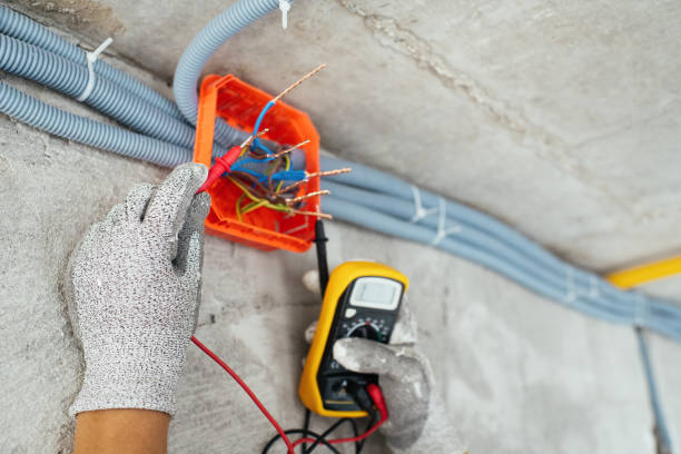 Best Ceiling Fan Installation Electrician  in Loving, NM